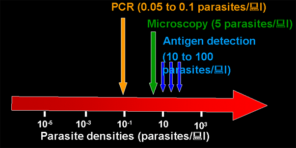 Detection of Parasites/Parasite Products