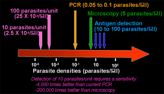 Detection of Parasites/Parasite Products