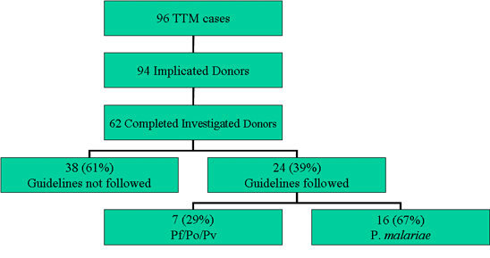 Organization Chart: Implicated Donors