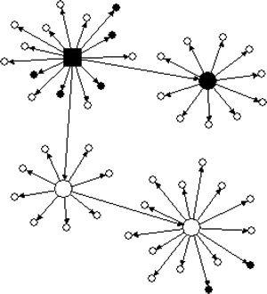 Figure1- Example social network of an HIV-positive recruiter and his network associates