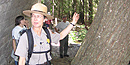 A park ranger points out features of a tree to visitors during a ranger program.