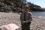 Park ranger stands on cobblestone beach