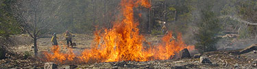 Fire management staff control a prescribed fire.