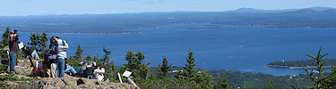 Visitors observe hawks atop Cadillac Mountain.