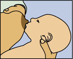 Picture of how to bring baby to breast: Tickle baby's lips to open