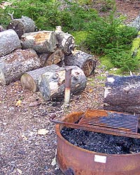 Pile of cut wood next to fire ring