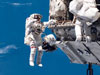 STS-116 Photo Gallery