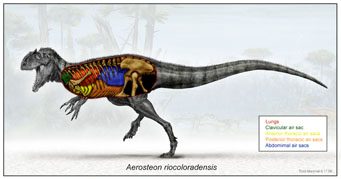 dinosaur image