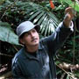 Diversity of trees in Ecuador's Amazon rainforest defies Neutral Theory