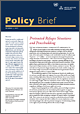 UNU Policy Briefs