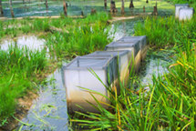 Field enclosures