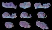 Nine Galileo Views in Exaggerated Color of Main-Belt Asteroid Ida