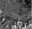 ASTER's First Views of San Francisco River, Brazil - Visible/near Infrared (VNIR) Image (monochrome)