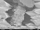 Terrestrial Clay under Microscope