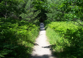 Hiking Trail