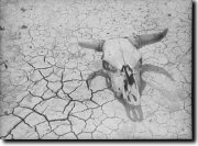 Image of extreme drought conditions