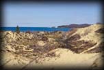 Plover habitat Cathead Bay