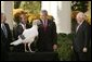 President George W. Bush and Vice President Dick Cheney participate in the annual pardoning of the National Turkey in the Rose Garden Nov. 17, 2004. "We are a nation founded by men and women who deeply felt their dependence on God and always gave Him thanks and praise. As we prepare for Thanksgiving in 2004, we have much to be thankful for: our families, our friends, our beautiful country, and the freedom granted to each one of us by the Almighty," said the President in his remarks.  White House photo by Paul Morse