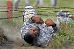 BARBED BARRIER - Click for high resolution Photo