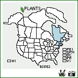 Distribution of Scirpus ×peckii Britton (pro sp.) [atrocinctus × atrovirens × pedicellatus]. . Image Available. 