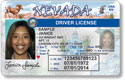 New NV Driver License