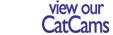 View our CatCams