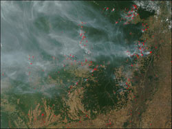 On August 11, 2002, the Moderate Resolution Imaging Spectroradiometer on the Terra satellite detected scores of fires marked with red dots burning in northern Mato Grosso in west central Brazil.