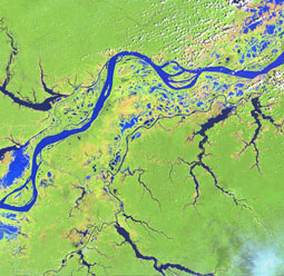 A Landsat Image of the Amazon River, Brazil, on November 30, 2000.