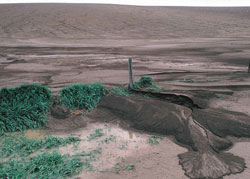 Wet and muddy soil following a rainstorm.