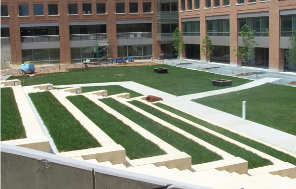 White Oak Building 66 Courtyard August 2008