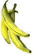 Photo of plantains