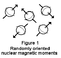 Figure 1 - Randomly oriented nuclear magnetic moments (diagram)