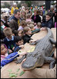 Kids reach out to touch an alligator at the White House Easter Egg Roll Monday, Mar. 24, 2008, on the South Lawn of the White House. White House photo by Chris Greenberg