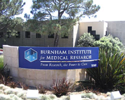 Burnham Institute for Medical Research Cancer Center