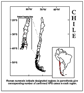 toro2t.gif (6472 bytes)