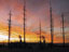 The WATR 'antenna farm' is colorful at sunrise.