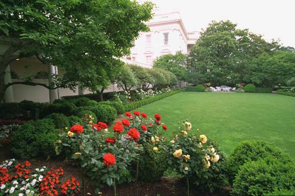 Pictured is the Rose Garden viewed from the West Wing. To the left is the West Colonnade. White House photo by Tara Engberg.