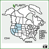 Distribution of Astragalus argophyllus Nutt. var. argophyllus. . Image Available. 