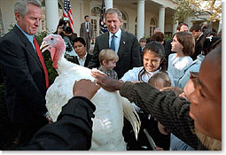 After pardoning a turkey from the Thanksgiving dinner table, President George W. Bush invites children to pet Liberty, the freed bird. "Through the generations, our country has known its share of hardships. And we've been through some tough times, some testing moments during the last months," said President Bush. "Yet, we've never lost sight of the blessings around us: the freedoms we enjoy, the people we love, and the many gifts of our prosperous land.". White House photo by Susan Sterner.
