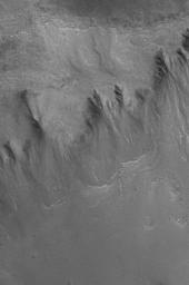 This MOC image shows a group of gullies formed on the equator-facing wall of a north mid-latitude crater. Gullies such as these might have formed from the erosive forces of liquid water