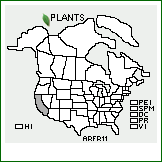 Distribution of Argyranthemum frutescens (L.) Sch. Bip.. . 