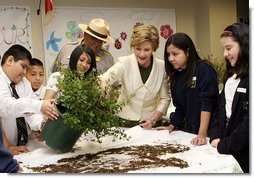 Mrs. Laura Bush works with students from the Williams Preparatory School in Dallas, Thursday, April 10, 2008, during planting events at the First Bloom program to help encourage youth to get involved with conserving America's National Parks. White House photo by Shealah Craighead