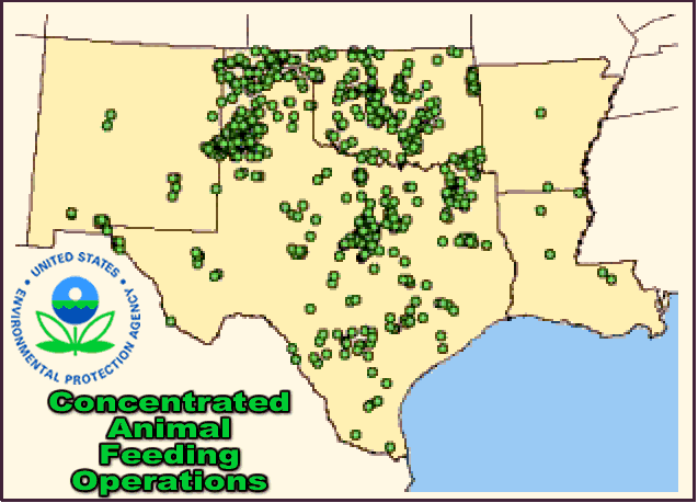 Map of CAFOs throughout Region 6