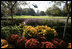 President George W. Bush departs the autumnal hues of the Rose Garden aboard Marine One Oct. 30, 2006.