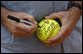 President George W. Bush autographs softball during the U.S. Women’s Softball practice Saturday, Aug. 9, 2008, at Fengtai Complex in Beijing. White House photo by Eric Draper