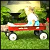 Photo of child in red wagon
