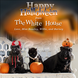First Family pets get in the Halloween spirit, Friday, Oct. 17, 2008, in a portrait on the Blue Room balcony on the south side of the White House. From left are Miss Beazley, Willy the cat, and Barney. The dogs are Scottish Terriers. White House photo by Joyce N. Boghosian