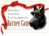Barney's Holiday Extravaganza