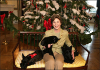 Mrs. Laura Bush poses with Barney, Miss Beazley and the family cat Willie, nicknamed 'Kitty,' Friday, Dec. 1, 2006, next to the White House Christmas Tree in the Blue Room.