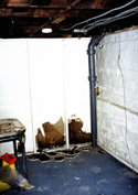 mold covered wallboard
